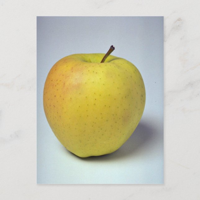 Carte Postale Délicieux Golden Delicious pomme (Devant)