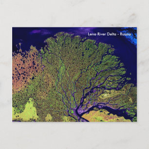 Carte Postale Delta de la rivière Lena de l'espace - Russie