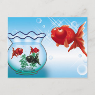 Carte Postale Demekin -Telescope Goldfish-