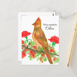 Carte Postale Déménagement Cardinal Rouge Cardinal Faire-part Oh