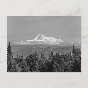 Carte Postale Denali (Mt. McKinley)