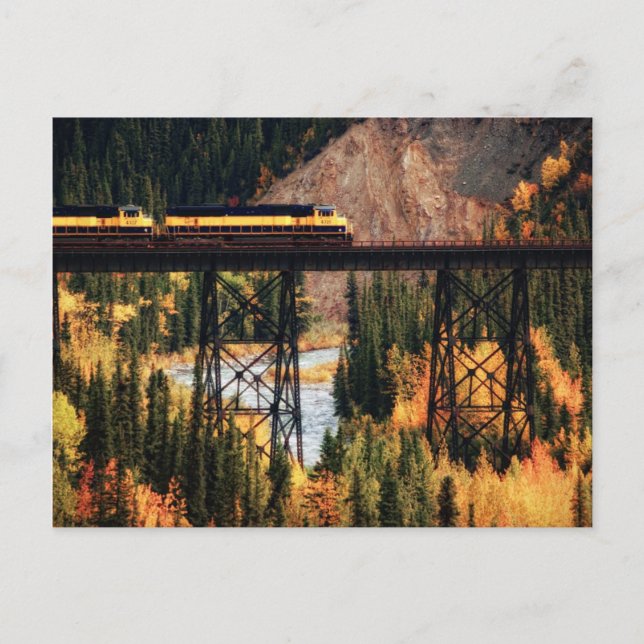 Carte Postale Denali National Park et Preserve USA Alaska (Devant)