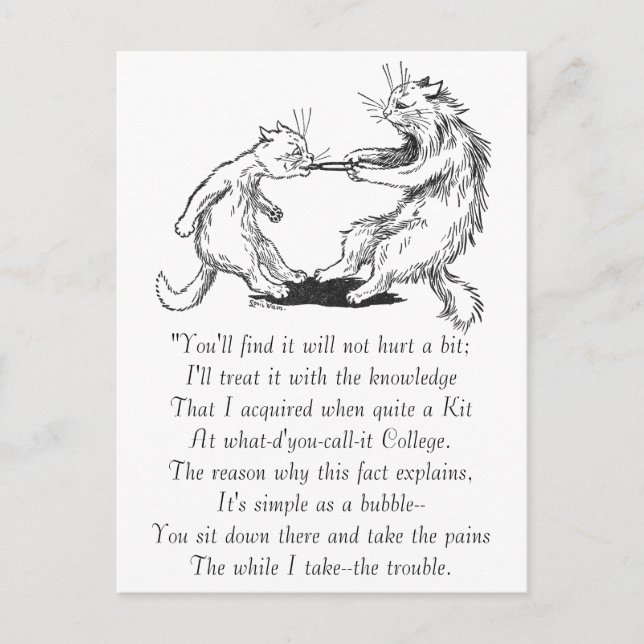 Carte Postale Dentist Cat Pulling dent (Devant)