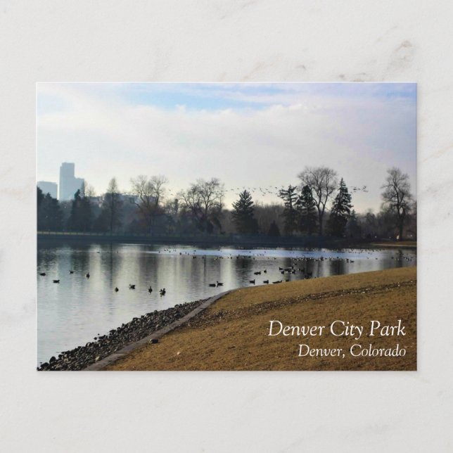 Carte Postale Denver City Park (Devant)