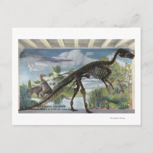 Carte Postale Denver, Colorado - Musée d'histoire naturelle