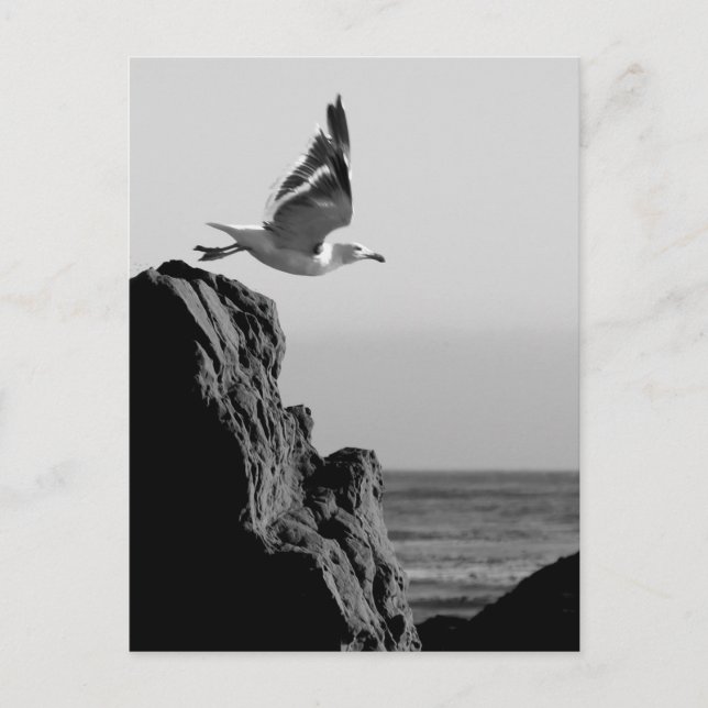 Carte Postale Départ de Seagull (Devant)