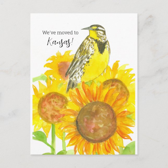 Carte Postale Déplacement Faire-part Kansas Meadowlark Tournesol (Devant)