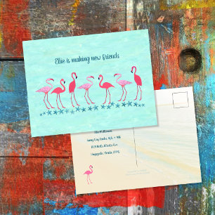 Carte Postale Déplacement sous les Tropiques Amis des Flamants N