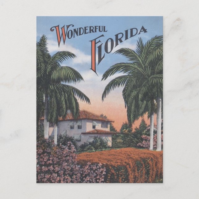 Carte Postale Dépliant vintage de Floride (Devant)