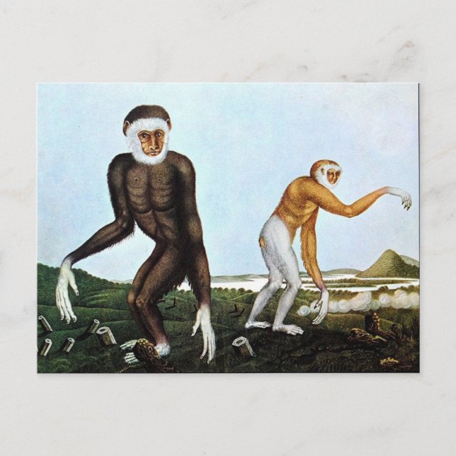 Carte Postale Der Gibbon ou The Gibbon (1833) (Devant)