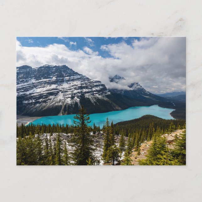 Carte Postale Der Lake Peyto in den Rocky Mountains (Devant)