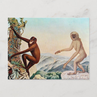 Carte Postale Der Siamang ou The Siamang Gibbon (1883)