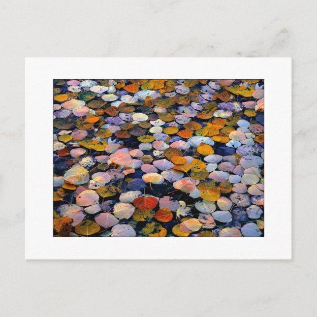 Carte Postale "Dérive silencieuse" (Devant)