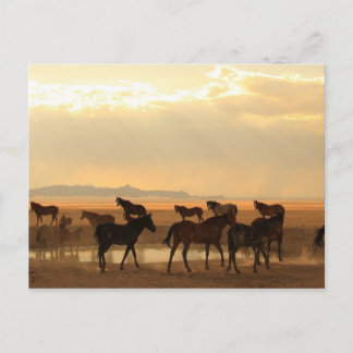 Carte Postale Dernier appel