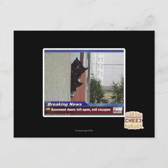 Carte Postale Dernière nouvelle 2 (Devant)