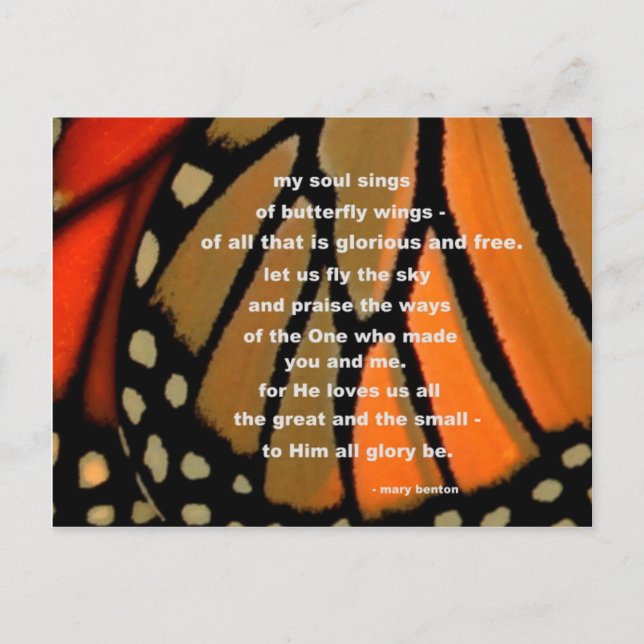 Carte Postale Des ailes papillon (Devant)