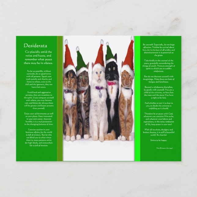 Carte postale des chats de Noël DESIDERATA (Devant)