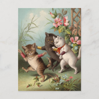 Carte postale des chats Naghty