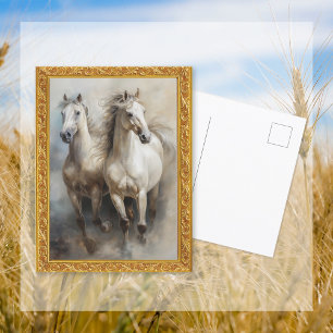 Carte postale des Chevaux blancs