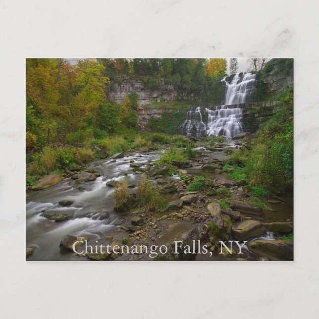 Carte postale des chutes de Chittenango (Devant)
