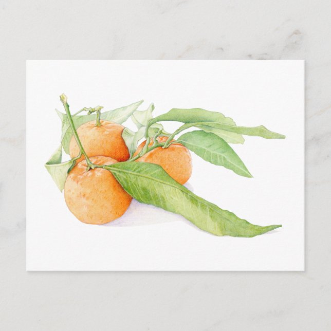 Carte postale des clémentines de Noël (Devant)