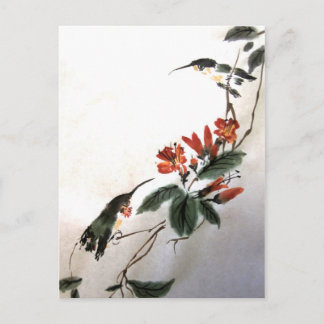 Carte postale des colibris