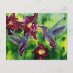 Carte postale des colibris et des lilliers