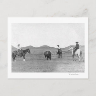 Carte Postale Des cowboys à cheval en train de rouler des buffle