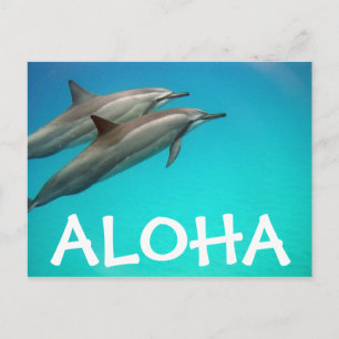 Carte postale des Dauphins d'Hawaii