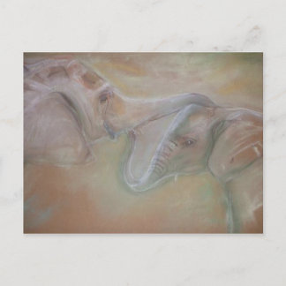 Carte postale des éléphants