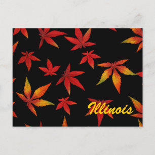 Carte postale des feuilles d'automne de l'Illinois