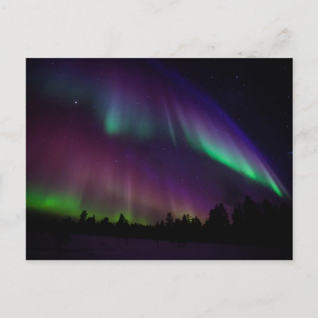 Carte postale des feux du Nord (Devant)