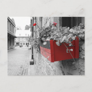 Carte Postale Des fleurs à Montréal