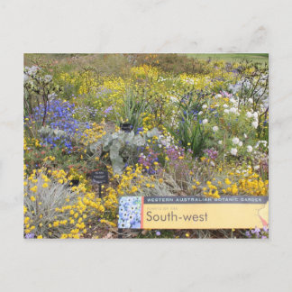 Carte postale des fleurs sauvages de l'Australie-O