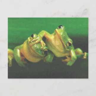 Carte postale des frères grenouilles