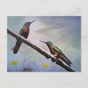 Carte postale des Gemas