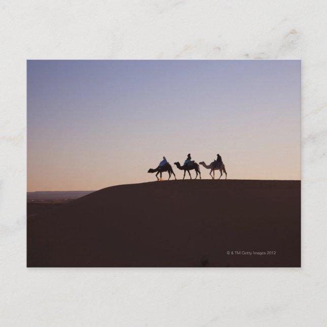 Carte Postale Des gens à dos de chameau, Maroc (Devant)
