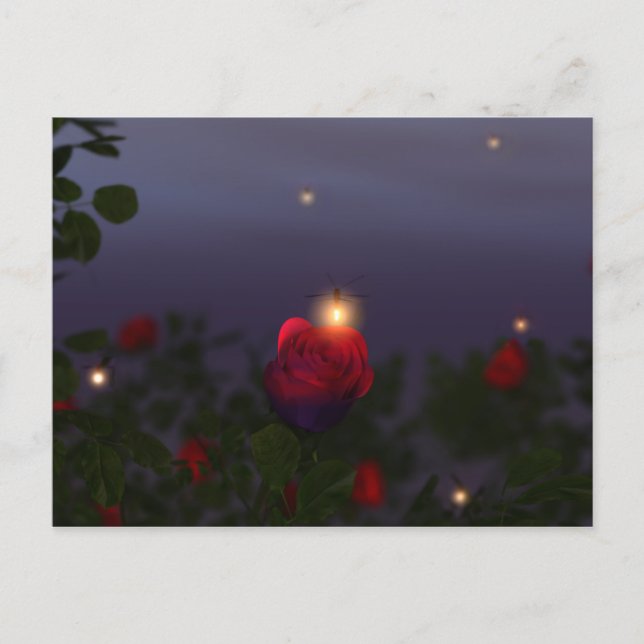 Carte postale des illuminations d'été (Devant)