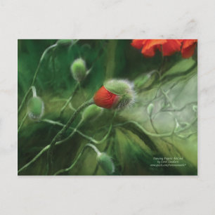 Carte postale des papilles dansantes