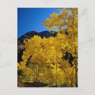 Carte postale des parcs nationaux