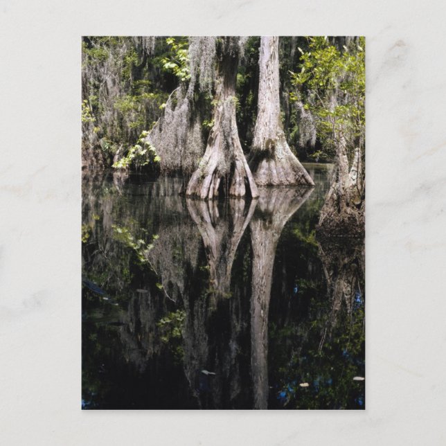 Carte postale des parcs nationaux (Devant)