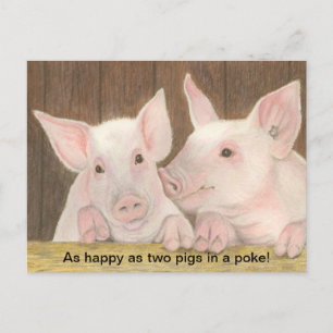 Carte postale des porcelets