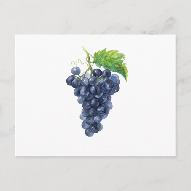Carte Postale Des raisins. Aquarelle. (Devant)