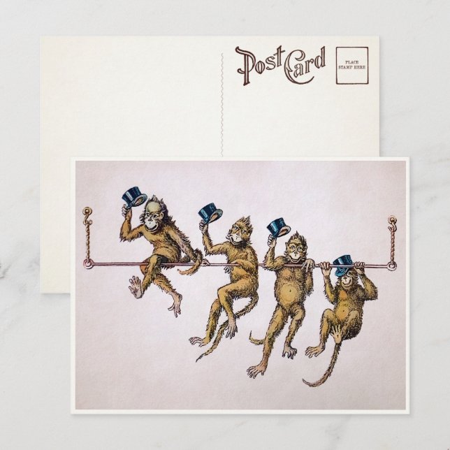 Carte postale des singes victoriens (Devant / Derrière)