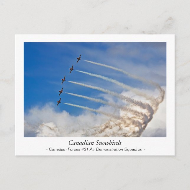 Carte postale des Snowbirds canadiens (Devant)