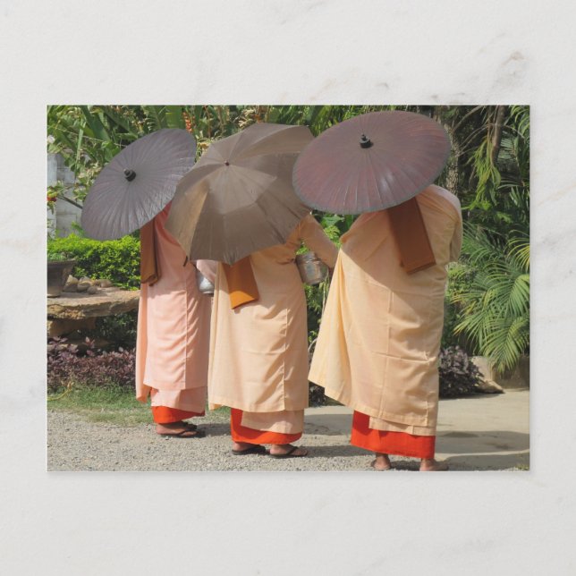 Carte Postale Des soeurs collectant des algues (Devant)