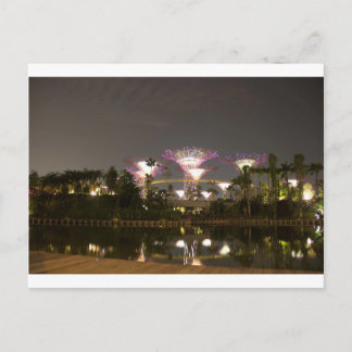Carte Postale Des super arbres éclairés à Gardens by the Bay