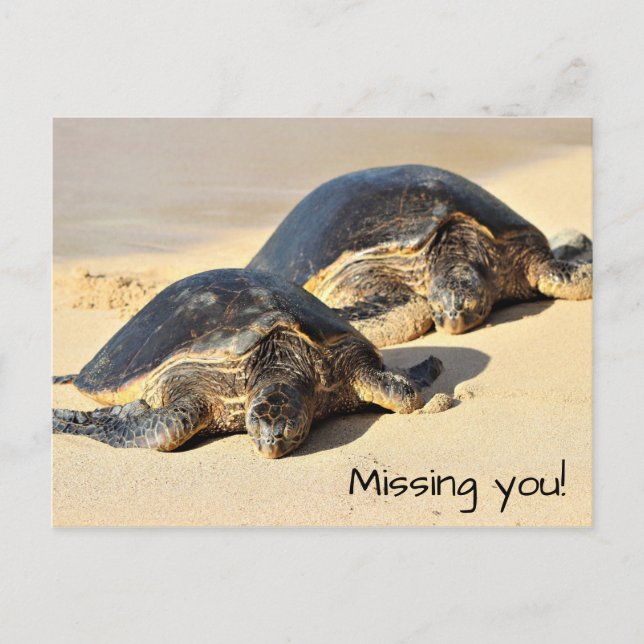 Carte postale des tortues de mer d'Hawaï (Devant)
