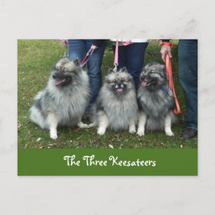 Carte postale des trois gardiens