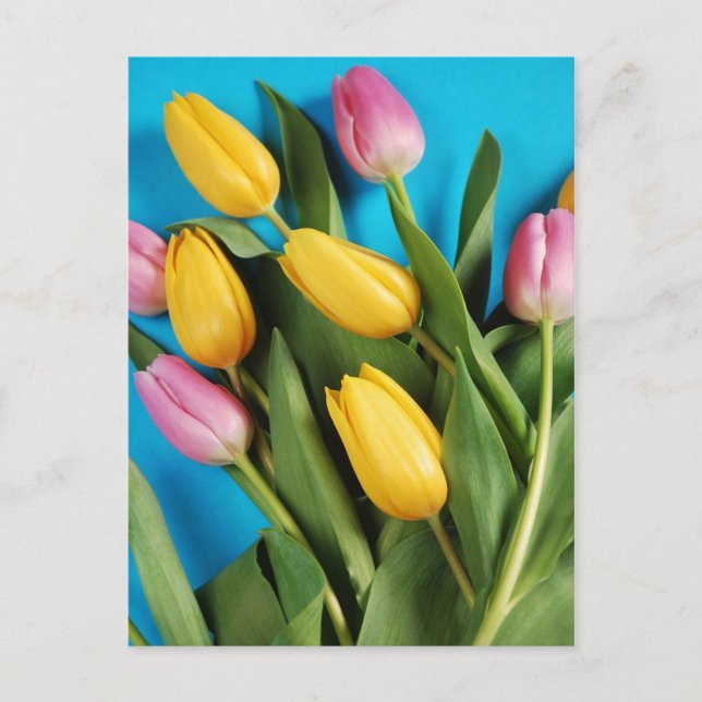 Carte postale des tulipes à ressort rose et jaune (Devant)